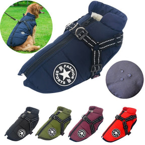 Colete Corta-Vento Pet Jones™ | Roupa Para Cachorro